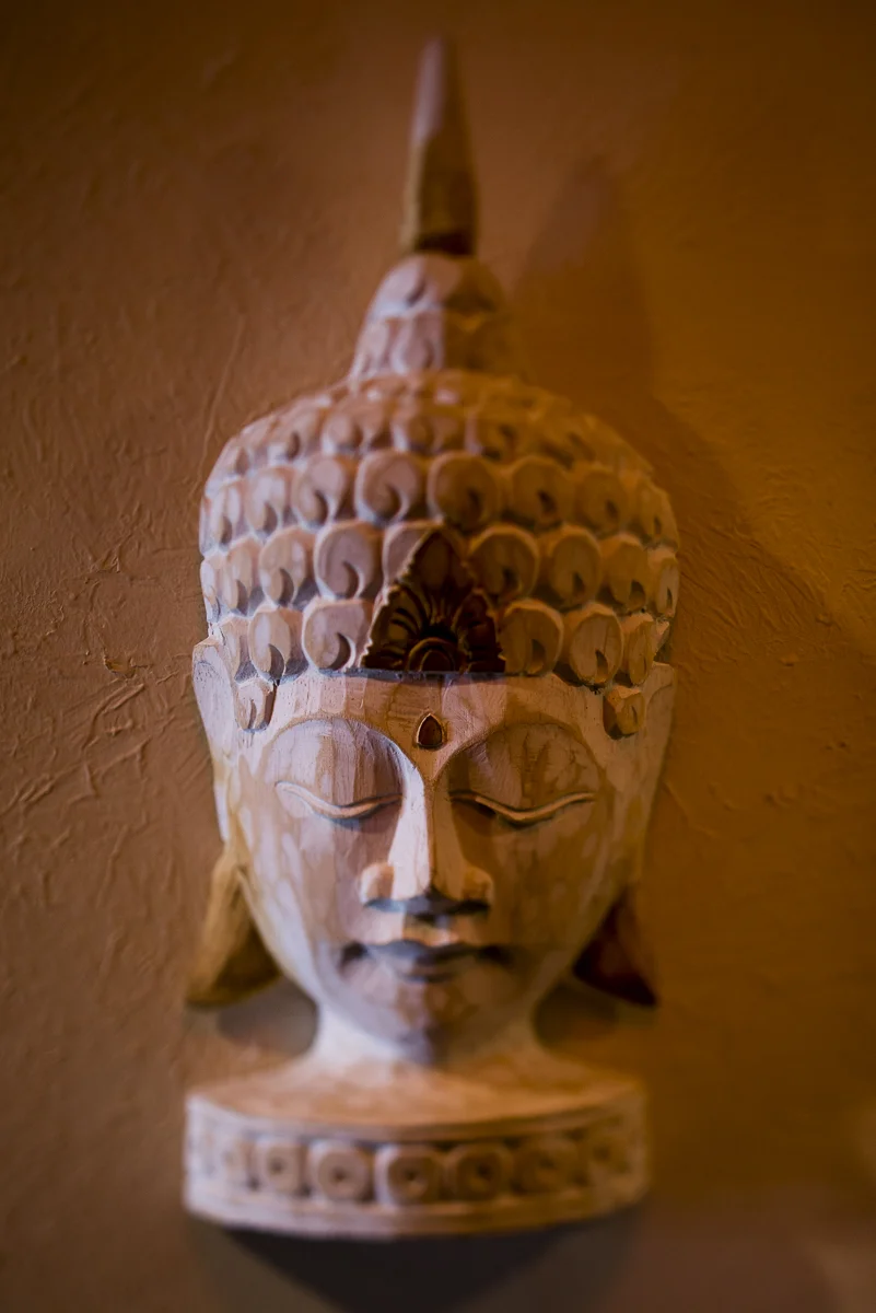 Blu Bamboo — photo 9