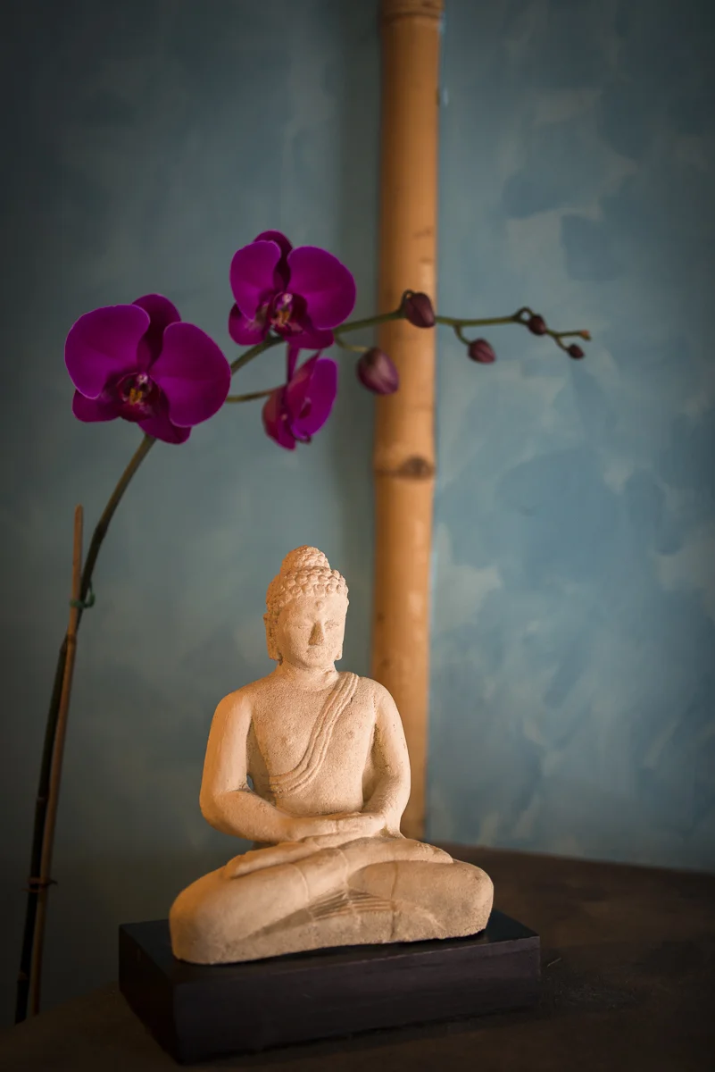 Blu Bamboo — photo 11