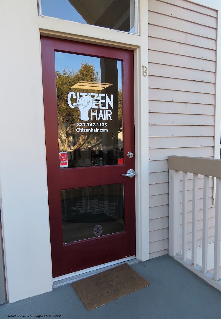 Citizen Hair — photo 9