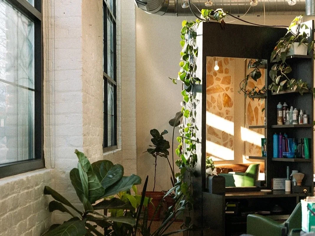 Cocoon STP — photo 12