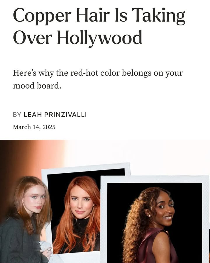 Daniella Vasallo Hair Color Studio — photo 2