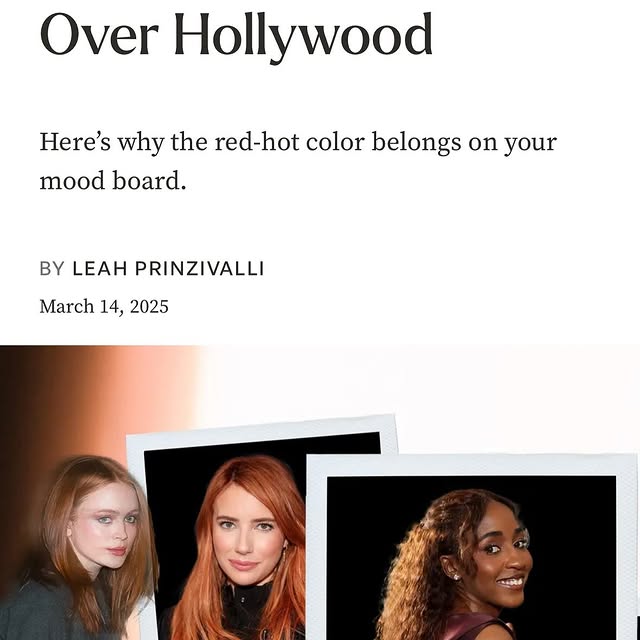 Daniella Vasallo Hair Color Studio — photo 5