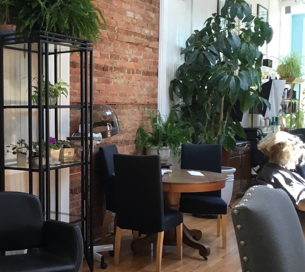 Elizabeth Claire Salon — photo 9