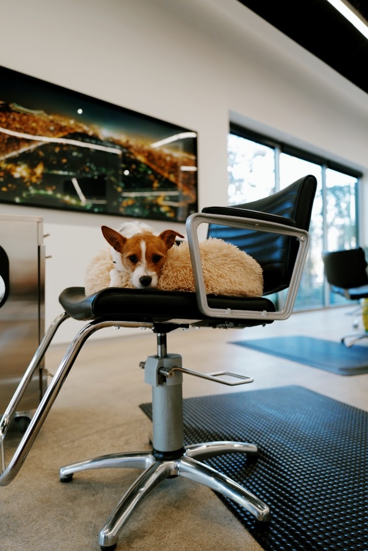 Facture Salon — photo 7
