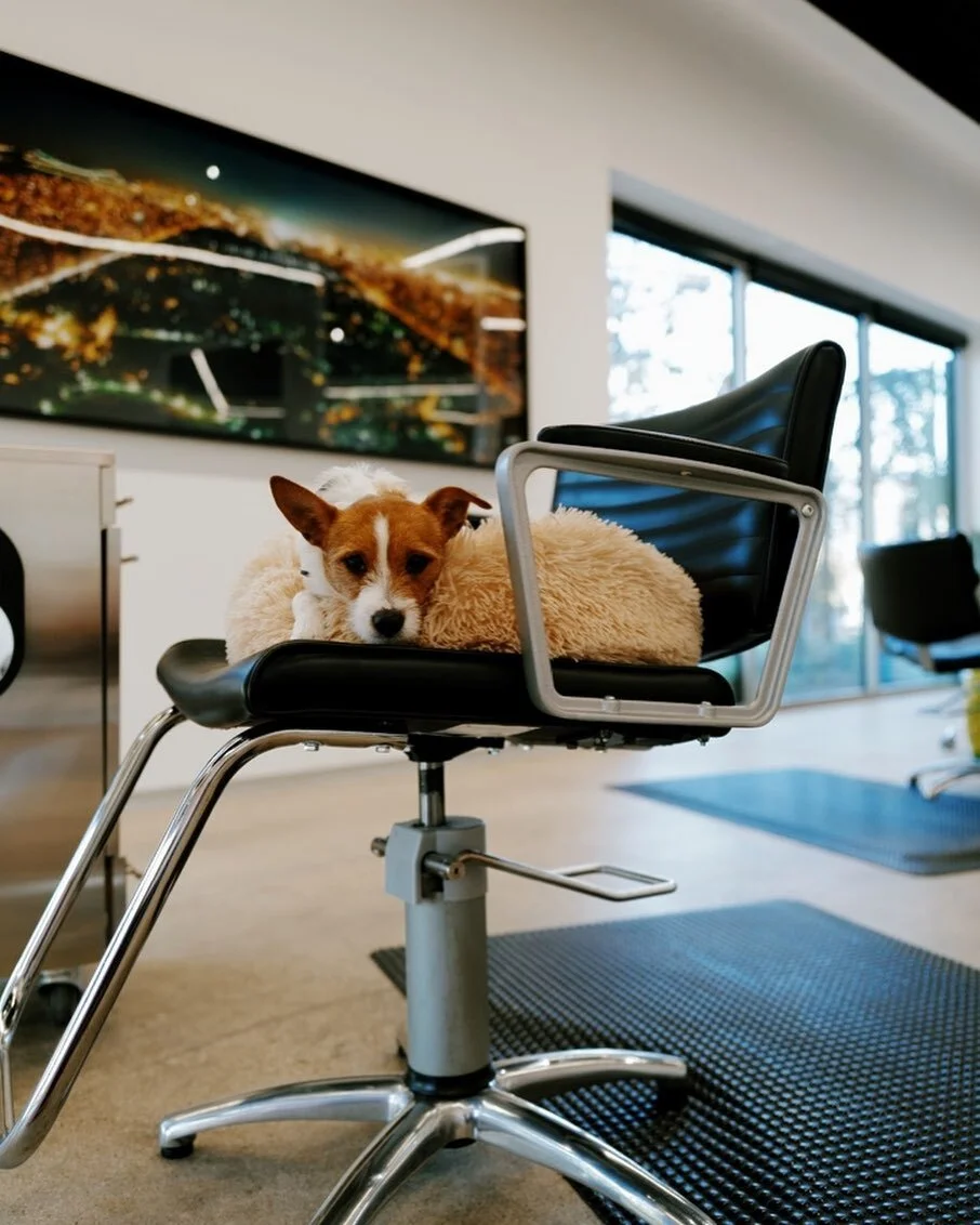 Facture Salon — photo 3