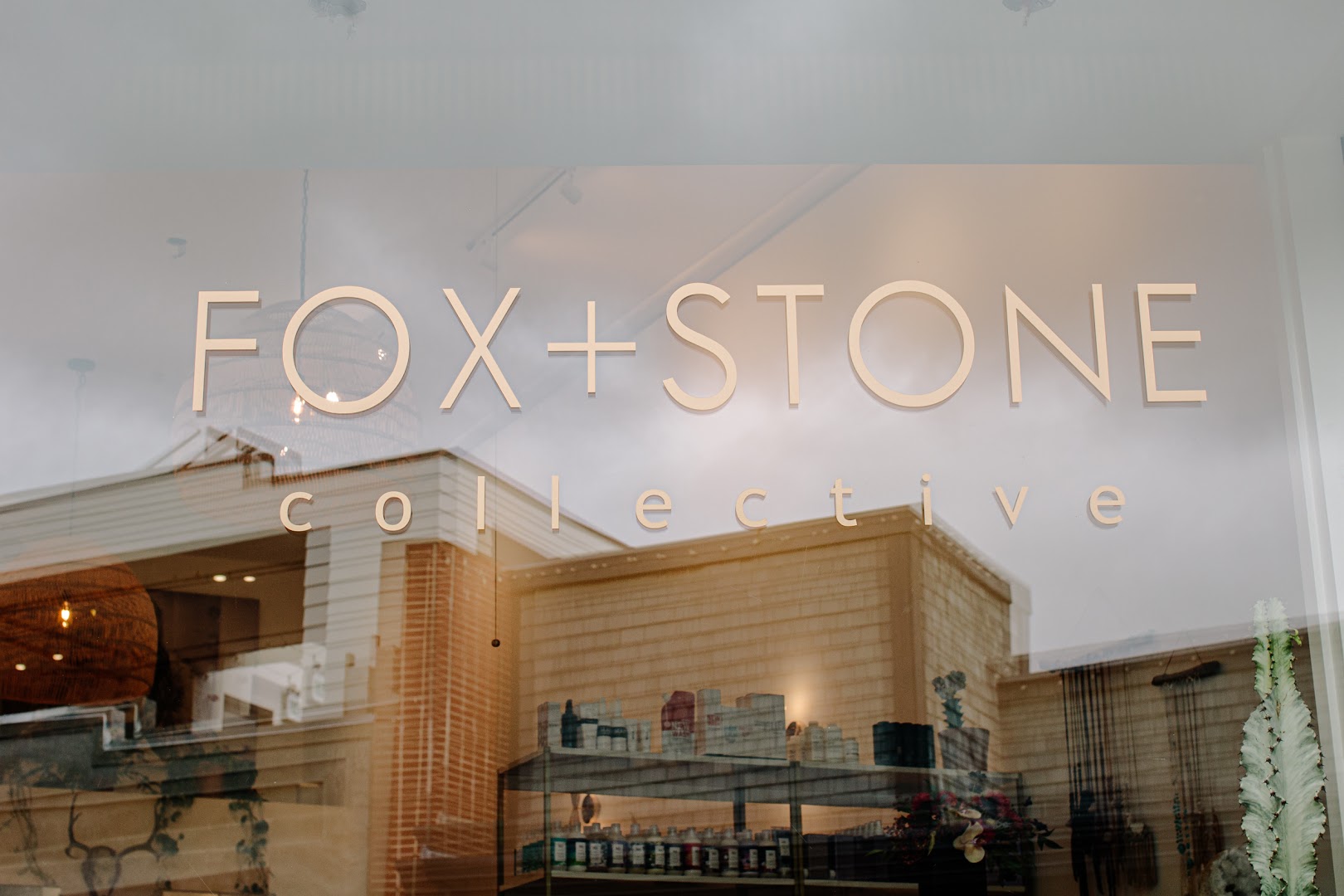 Fox + Stone Collective - San Anselmo — photo 2