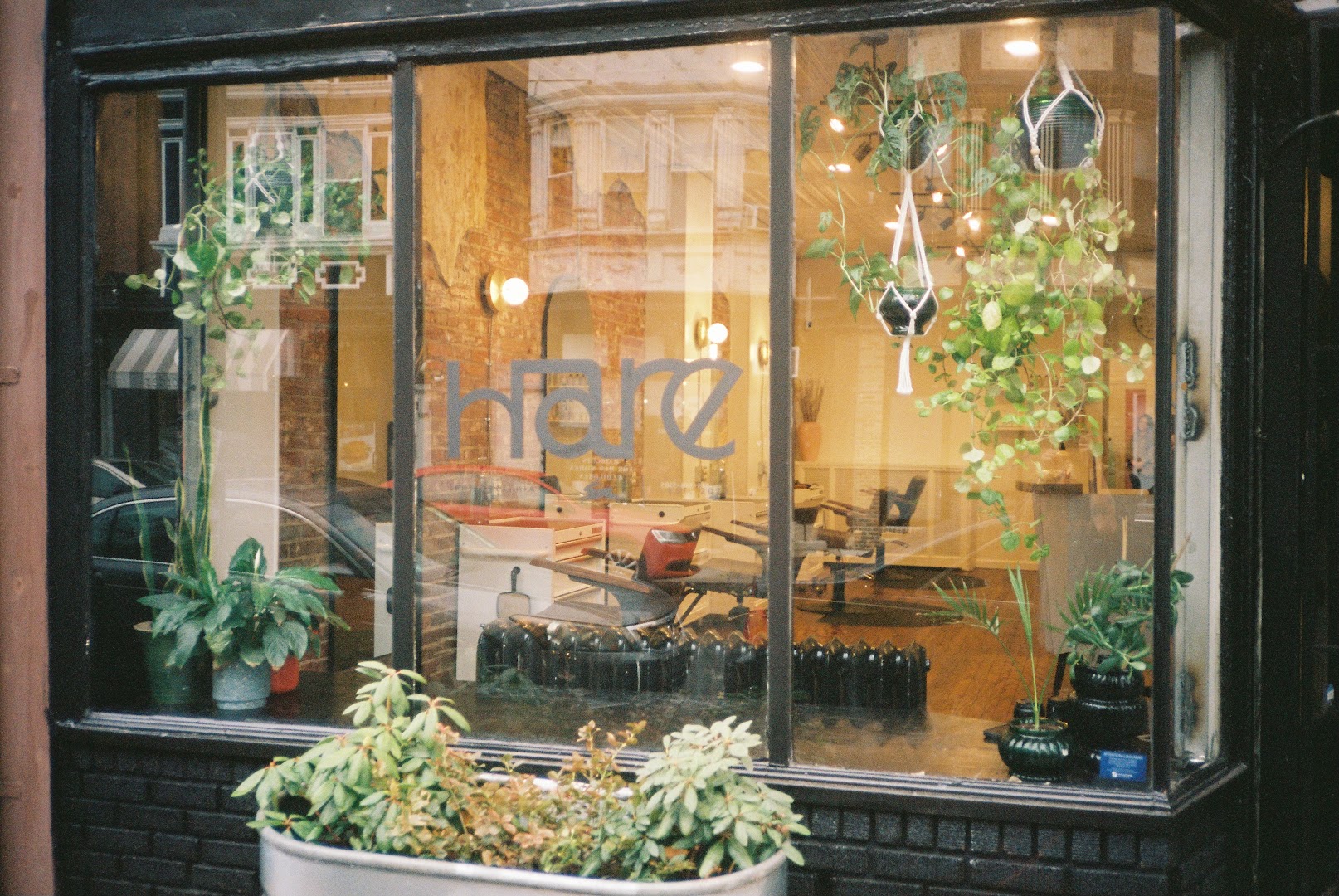 Hare Philly — photo 1