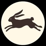 Hare Philly — photo 12
