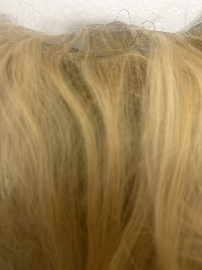 Jara Herron Salon Yale Village — photo 1