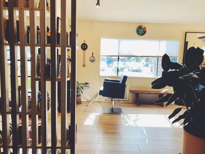 Little Koyote — photo 9