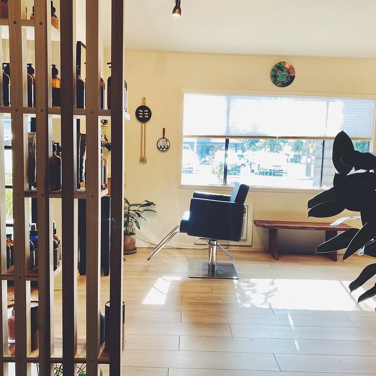 Little Koyote — photo 10