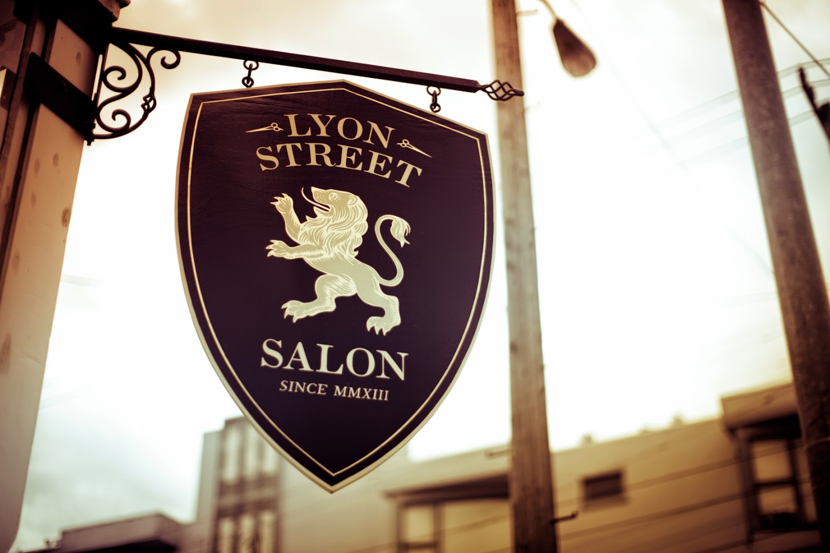 Lyon Street Salon — photo 12