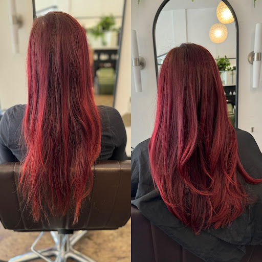Lyon Street Salon — photo 10