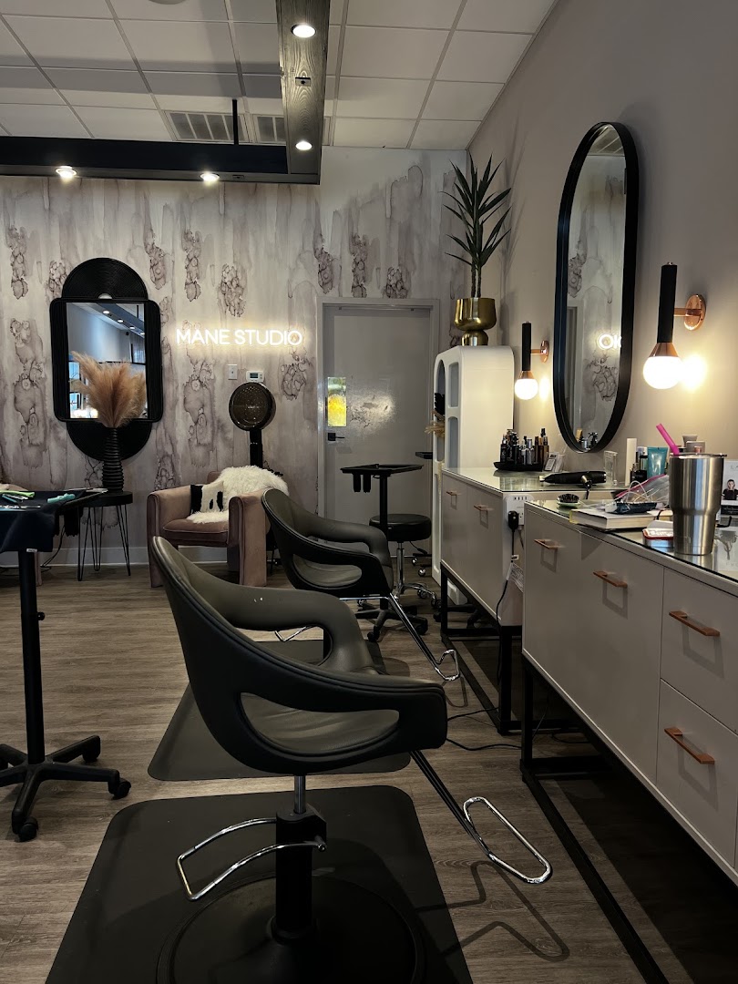 Mane Studio — photo 5