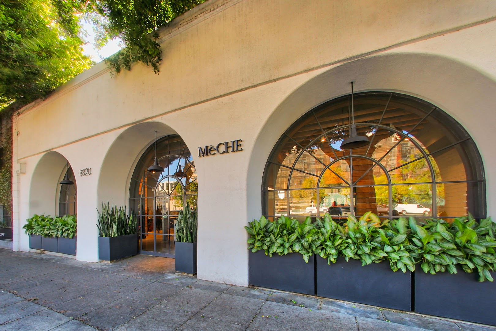 Meche — photo 11
