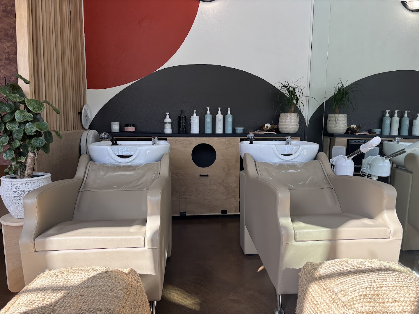 Moxi SF — photo 1