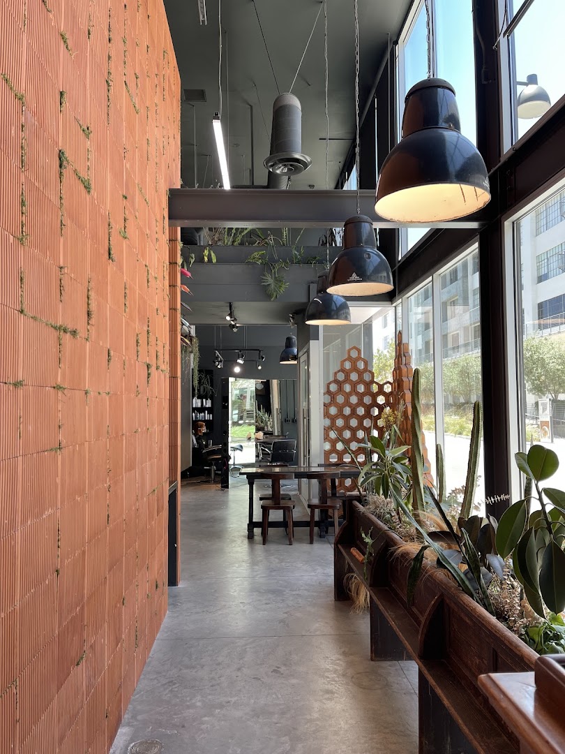 Nova Arts Salon — photo 11