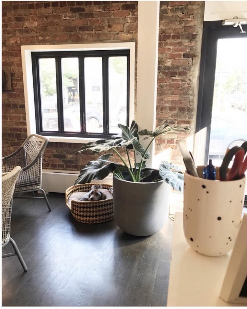Off Primary Salon — photo 1