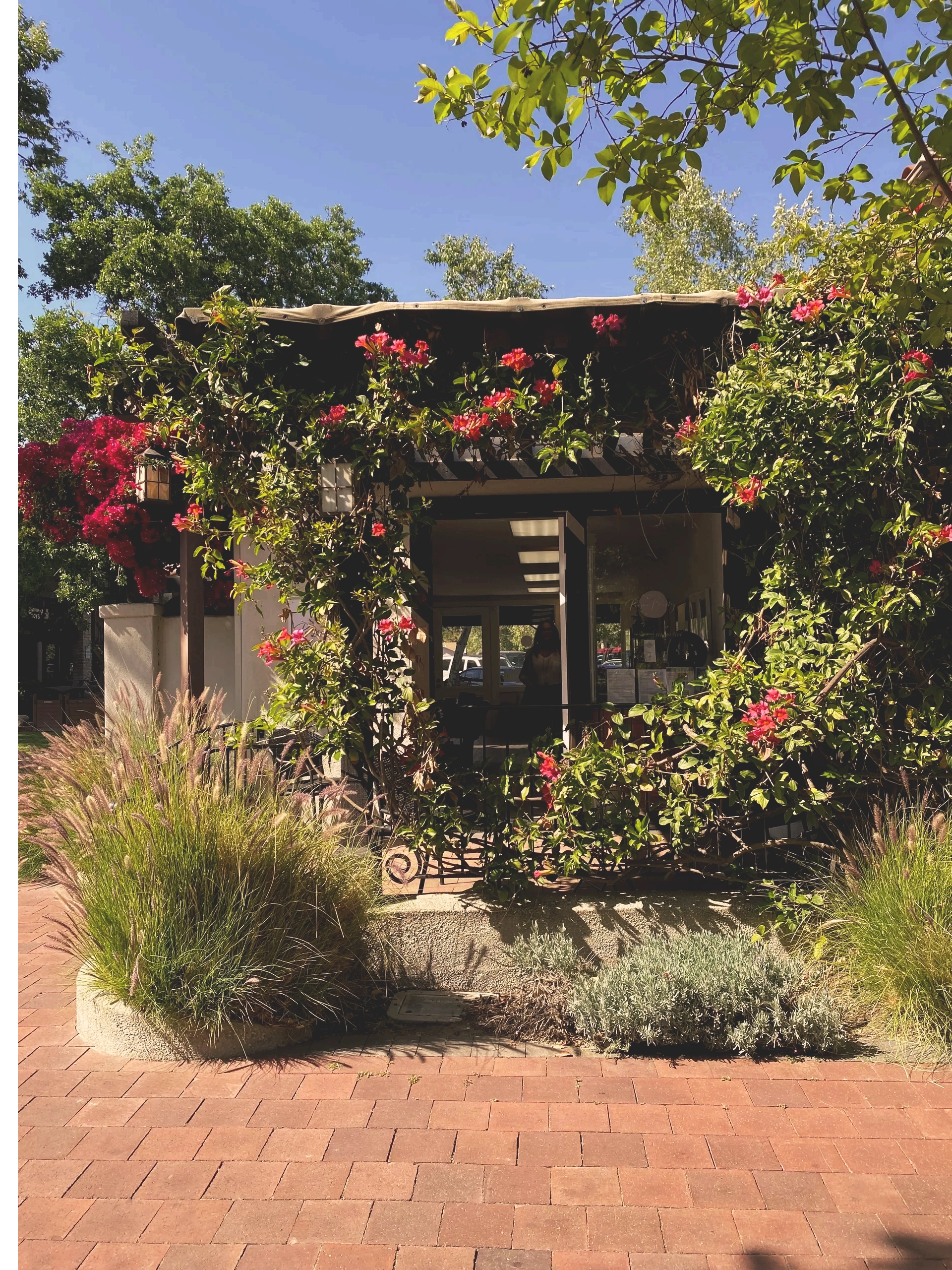 Proper Beauty Ojai — photo 9