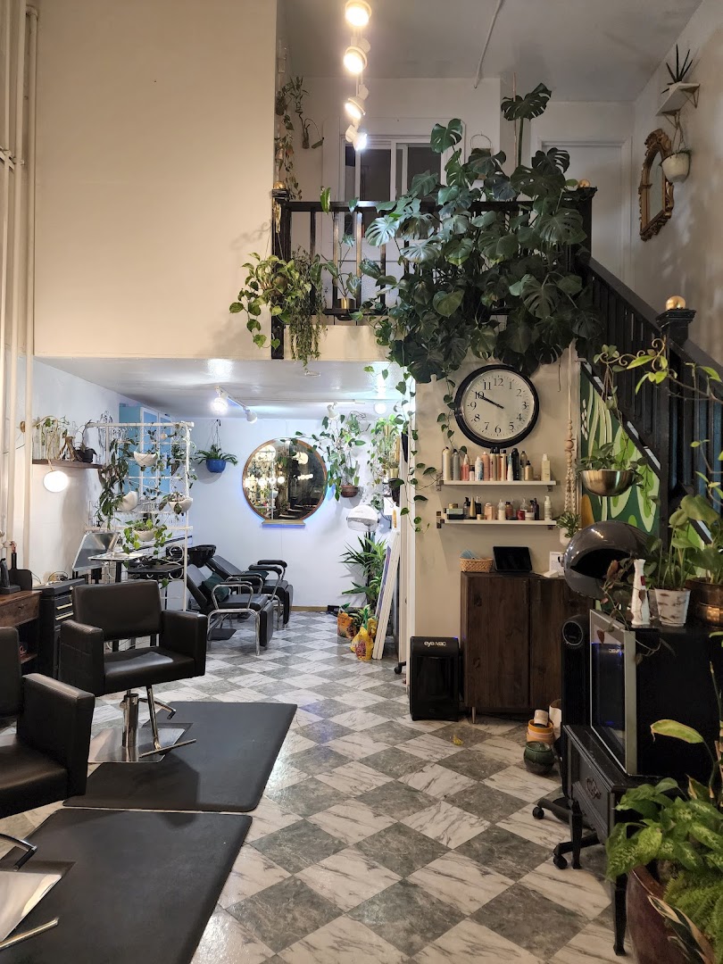 Salon Naoveau — photo 5
