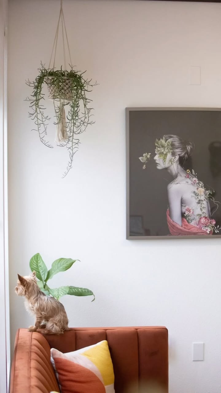 The Lather, Rinse Repeat Salon — photo 10