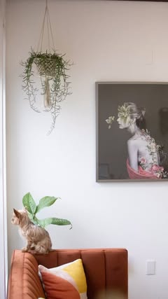 The Lather, Rinse Repeat Salon — photo 11