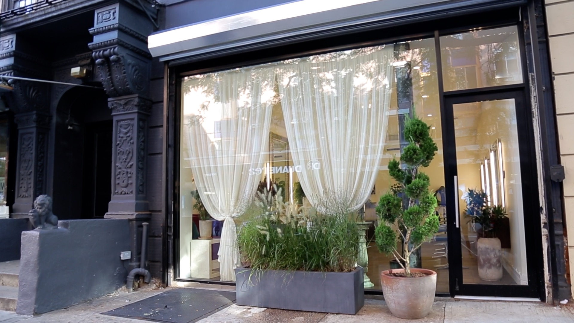 White Rose Collective — photo 9