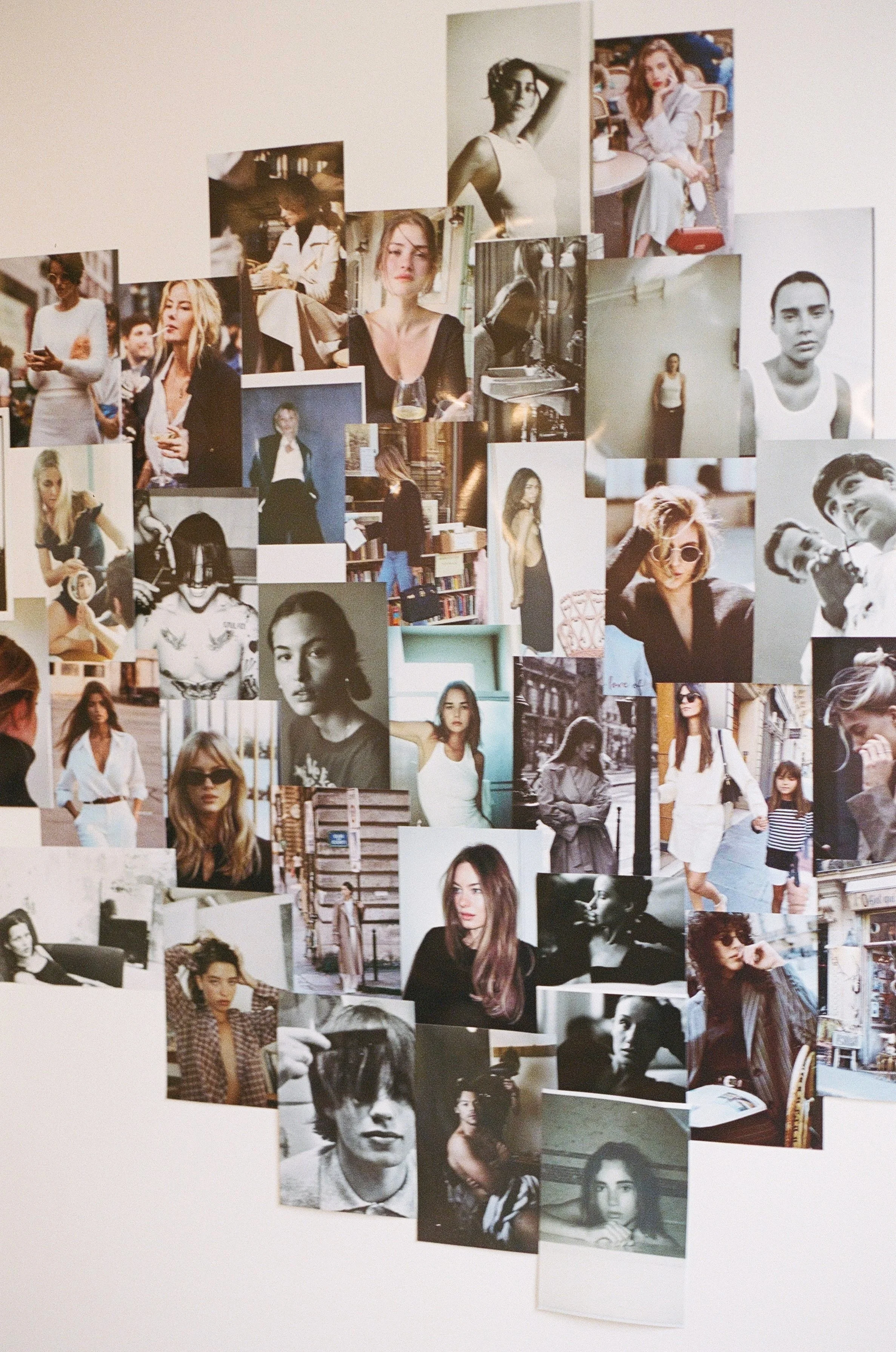 White Rose Collective — photo 2