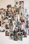 White Rose Collective — photo 10